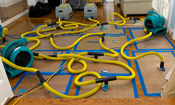 Professional Crawl Space Water Removal technician working in Beaumont, MS